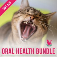 Oral Health Bundle